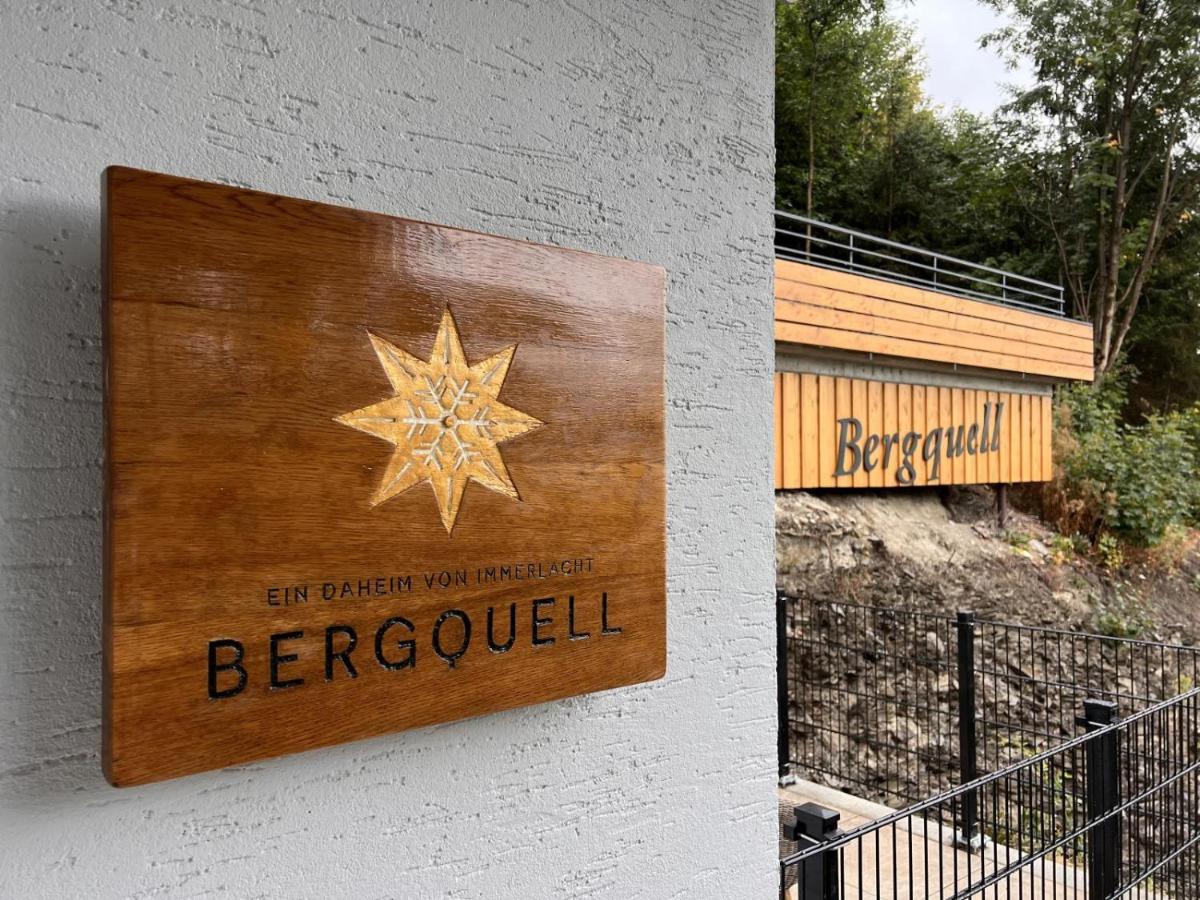 Haus Bergquell App 2 Apartment Willingen  Bagian luar foto